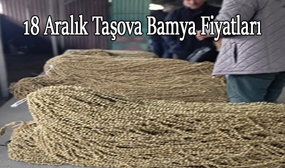 18 Aralık Taşova Bamya Fiyatları
