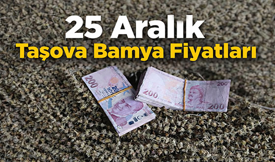 25 Aralık Taşova Bamya Fiyatları 