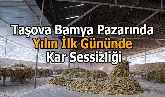 Taşova Bamya Pazarında Yılın İlk Gününde Kar Sessizliği