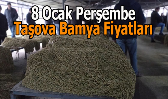 8 Ocak Perşembe Taşova Bamya Fiyatları 