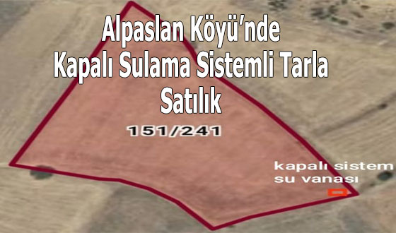 Alpaslan Köyü’nde Kapalı Sulama Sistemli Tarla Satılık