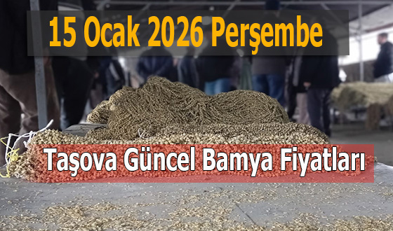 15 Ocak 2026 Perşembe Taşova Güncel Bamya Fiyatları