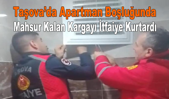 Taşova’da Apartman Boşluğunda Mahsur Kalan Kargayı İtfaiye Kurtardı
