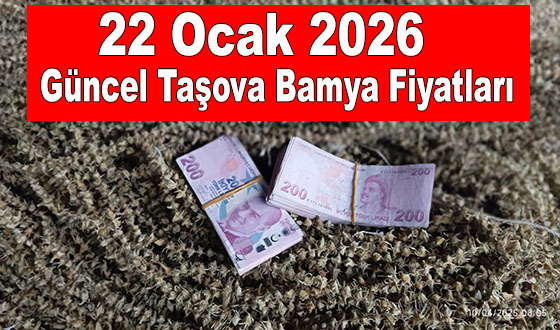 22 Ocak 2026 Güncel Taşova Bamya Fiyatları