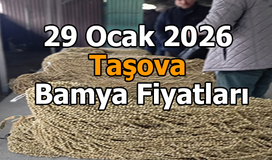 29 Ocak 2026 Taşova Bamya Fiyatları