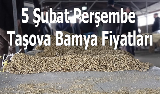 5 Şubat Perşembe Taşova Bamya Fiyatları