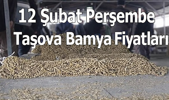 12 Şubat Taşova Bamya Fiyatları