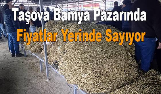 Taşova Bamya Pazarında Fiyatlar Yerinde Sayıyor