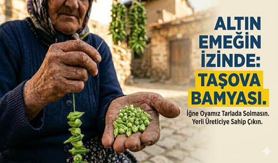 Taşova Bamyası İçin Yeni Hamle: Billboard Kampanyası Gündemde