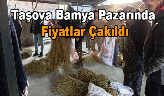 Taşova Bamya Pazarında Fiyatlar Çakıldı