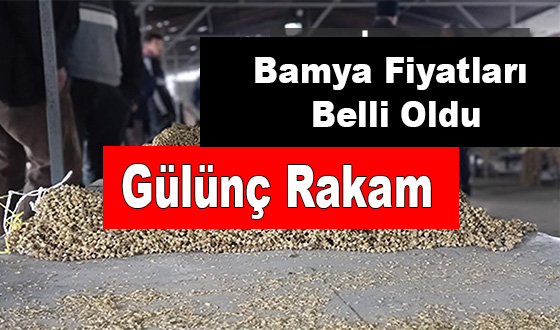 Gülünç Rakam Bamya Fiyatları Belli Oldu