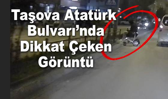 Taşova Atatürk Bulvarı’nda Dikkat Çeken Görüntü