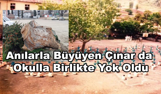 Anılarla Büyüyen Çınar da  Okulla Birlikte Yok Oldu