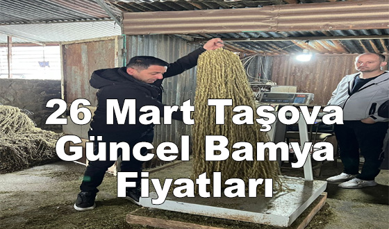 26 Mart Taşova Güncel Bamya Fiyatları