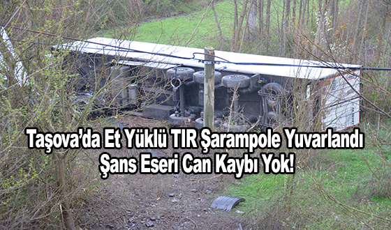 Taşova’da Et Yüklü TIR Şarampole Yuvarlandı: Şans Eseri Can Kaybı Yok!