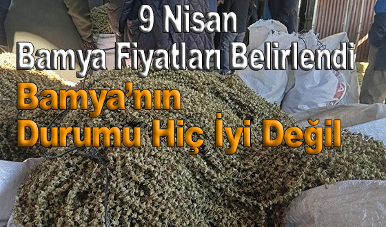 9 Nisan Bamya Fiyatları Belirlendi