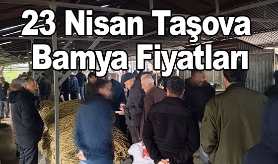 23 Nisan Taşova Bamya Fiyatları