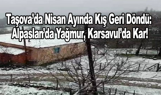 Taşova’da Nisan Ayında Kış Geri Döndü: Alpaslan’da Yağmur, Karsavul’da Kar!