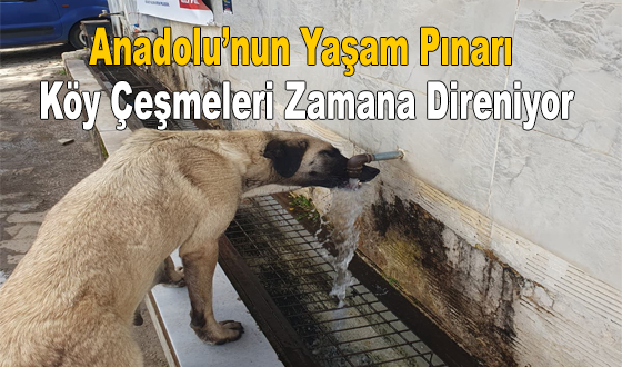 Anadolu’nun Yaşam Pınarı: Köy Çeşmeleri Zamana Direniyor
