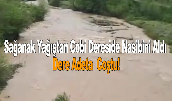 Sağanak Yağıştan Cobi Dereside Nasibini Aldı Dere Adeta Coştu!
