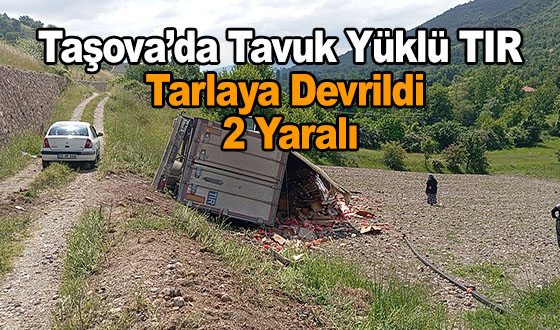 Taşova’da Tavuk Yüklü TIR Tarlaya Devrildi: 2 Yaralı