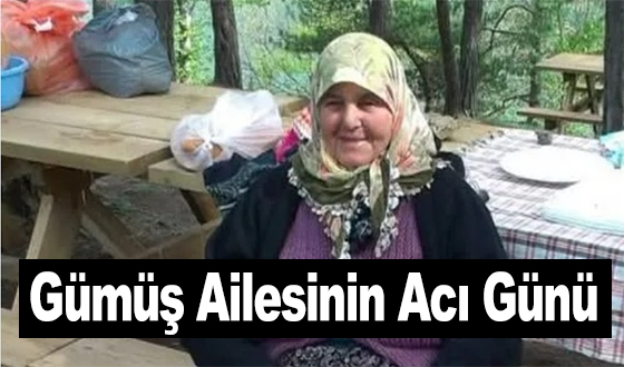 Gümüş Ailesinin Acı Günü