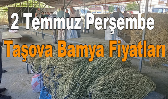2 Temmuz Perşembe Taşova Bamya Fiyatları
