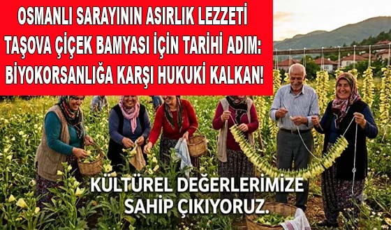 OSMANLI SARAYININ ASIRLIK LEZZETİ TAŞOVA ÇİÇEK BAMYASI İÇİN TARİHİ ADIM: BİYOKORSANLIĞA KARŞI HUKUKİ KALKAN!