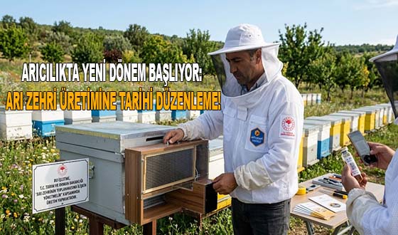 ARICILIKTA YENİ DÖNEM BAŞLIYOR: ARI ZEHRİ ÜRETİMİNE TARİHİ DÜZENLEME!