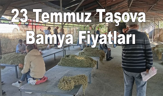 23 Temmuz Taşova bamya Fiyatları