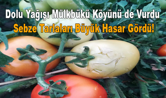 Dolu Yağışı Mülkbükü Köyünü de Vurdu Sebze Tarlaları Büyük Hasar Gördü!