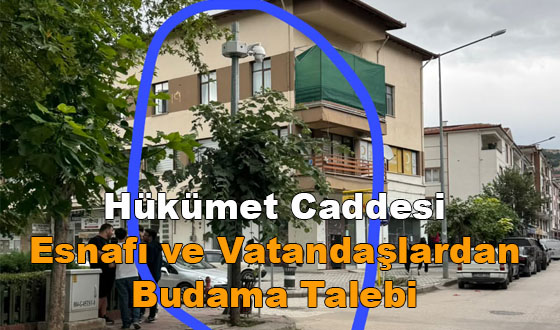 Hükümet Caddesi Esnafı ve Vatandaşlardan Budama Talebi