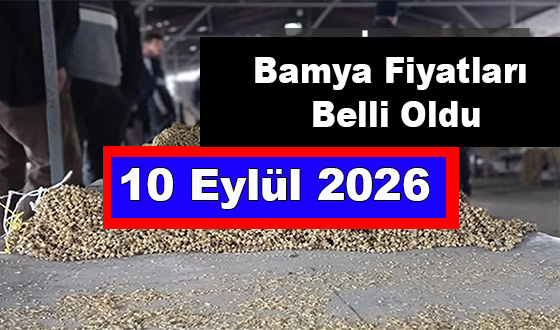Bamya Fiyatları Belli Oldu 
