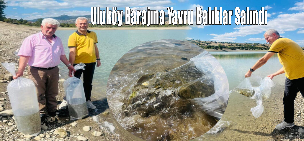 Uluköy Barajına Yavru Balıklar Salındı