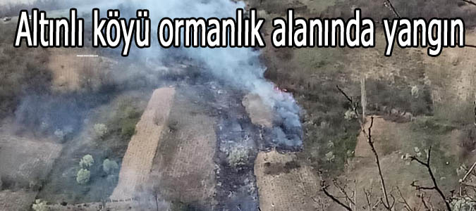 Altınlı köyü ormanlık alanında yangın