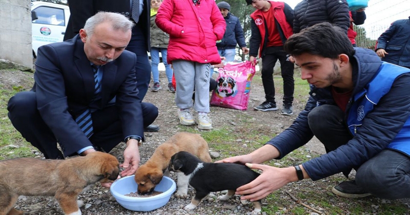 Başkan Öztürk ve Gençlik Merkezi Gönüllüleri Sokak Hayvanlarını Besledi