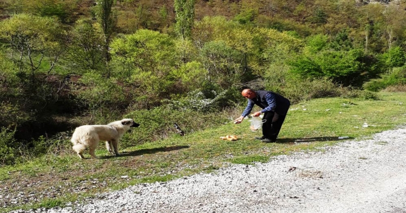 Boraboy Muhtarı İzzet Öz Köy Çevresinde ki Hayvanlara Sahip Çıkıyor