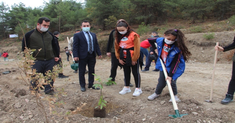 Taşova'da 5 Bin Fidan Toprakla Buluştu