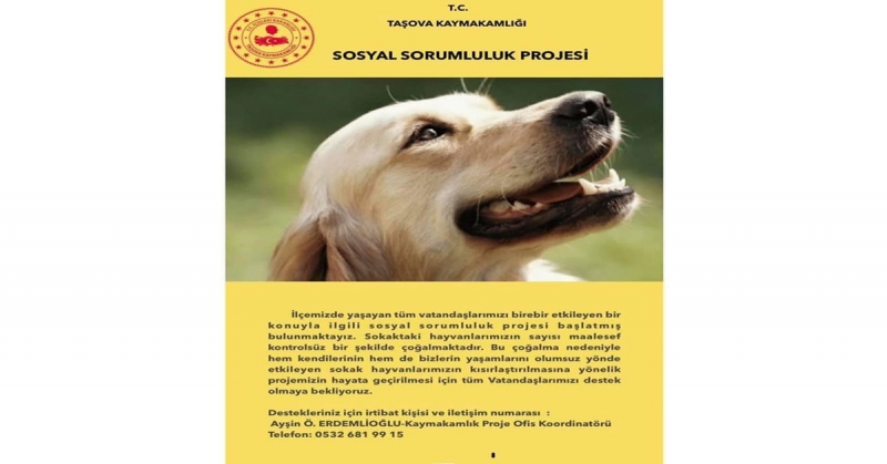 Taşova’da Sokak Hayvanlarını Kısırlaştırma Kampanyası