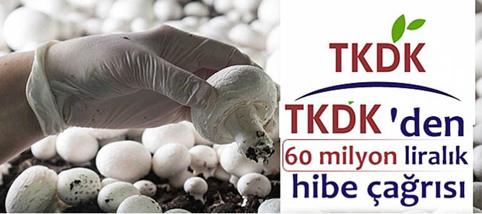 TKDK'den 60 milyon liralık hibe çağrısı