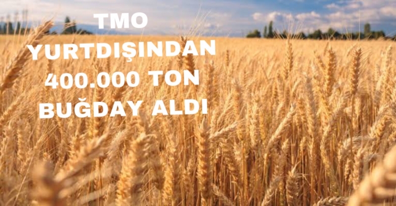 TMO Yurtdışından 400.000 ton buğday İtal edecek