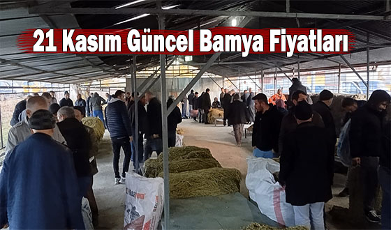 21 Kasım Güncel Bamya Fiyatları