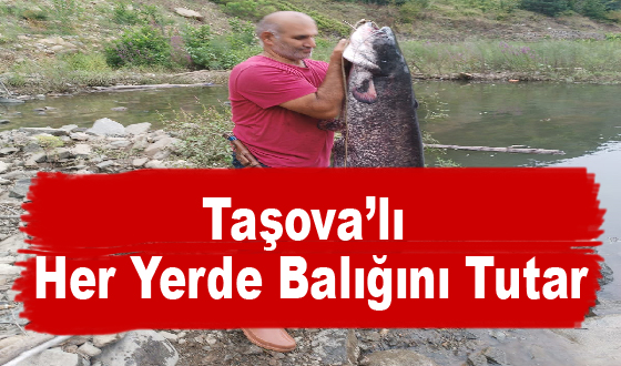 Taşova Videoları