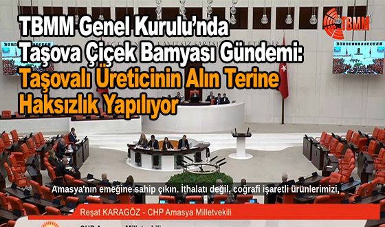 Taşova Bamyası Sorunu TBMM'de #taşova #taşovabamyası