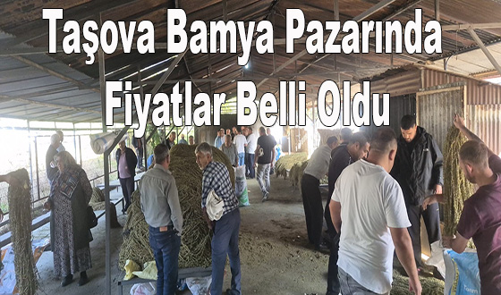 Taşova Bamya Pazarında gübcel fiyatlar #taşova  #bamya